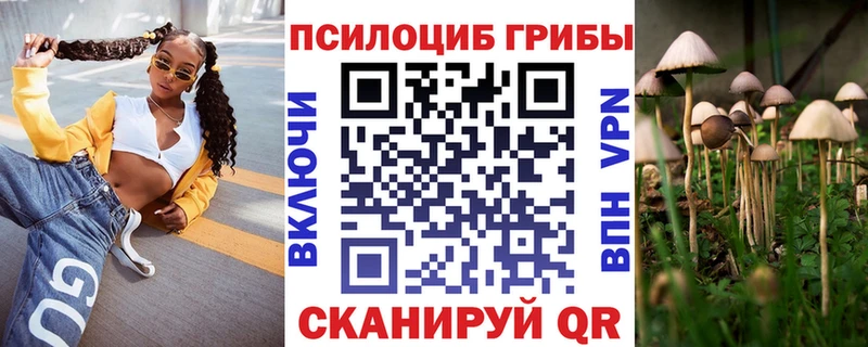 Псилоцибиновые грибы Magic Shrooms  Купить  Донецк 